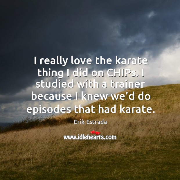 I really love the karate thing I did on chips. I studied with a trainer because Erik Estrada Picture Quote