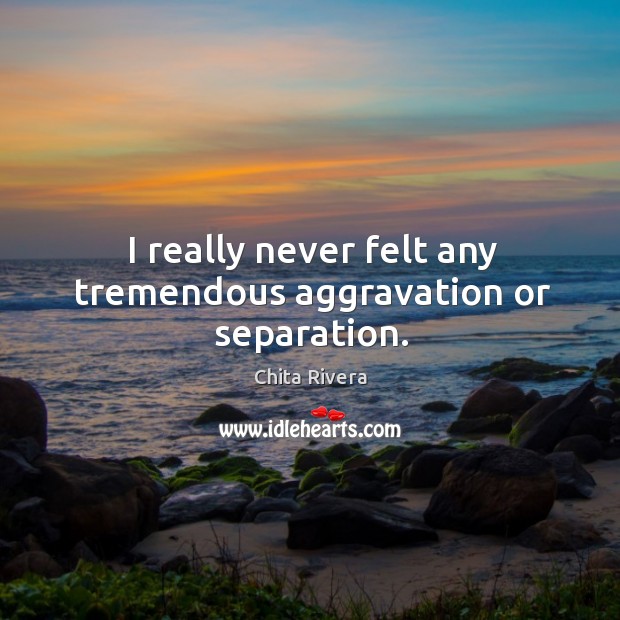 I really never felt any tremendous aggravation or separation. Chita Rivera Picture Quote