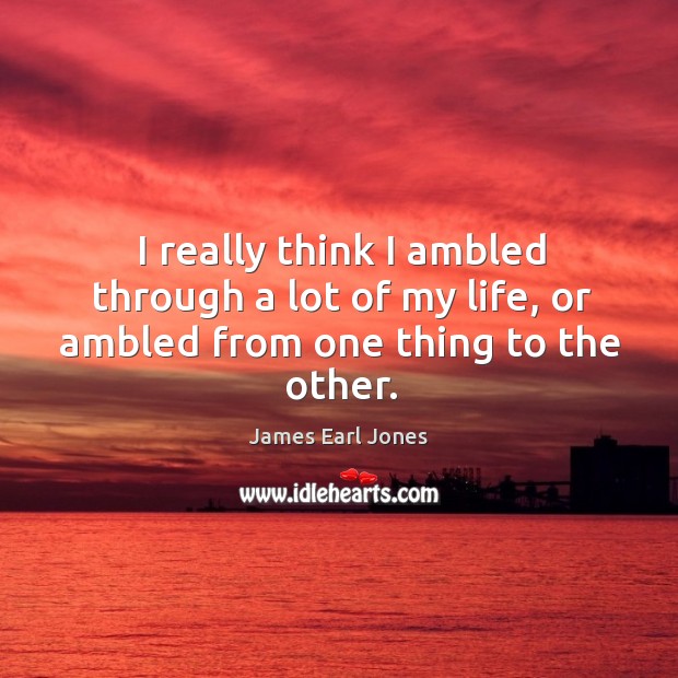 I really think I ambled through a lot of my life, or ambled from one thing to the other. James Earl Jones Picture Quote