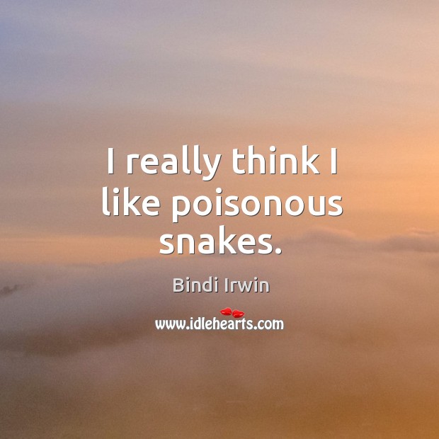 I really think I like poisonous snakes. Bindi Irwin Picture Quote