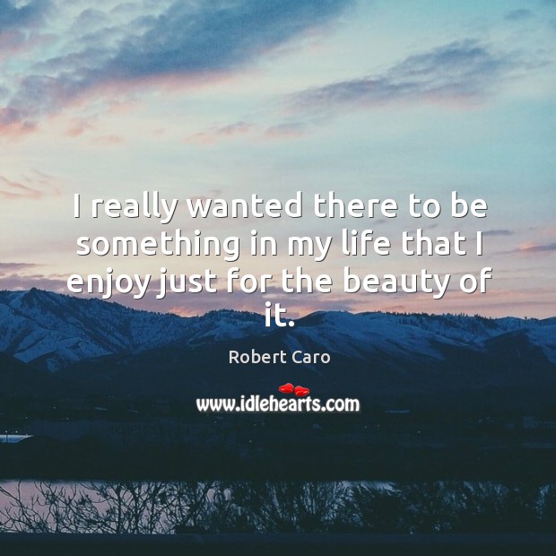 I really wanted there to be something in my life that I enjoy just for the beauty of it. Robert Caro Picture Quote