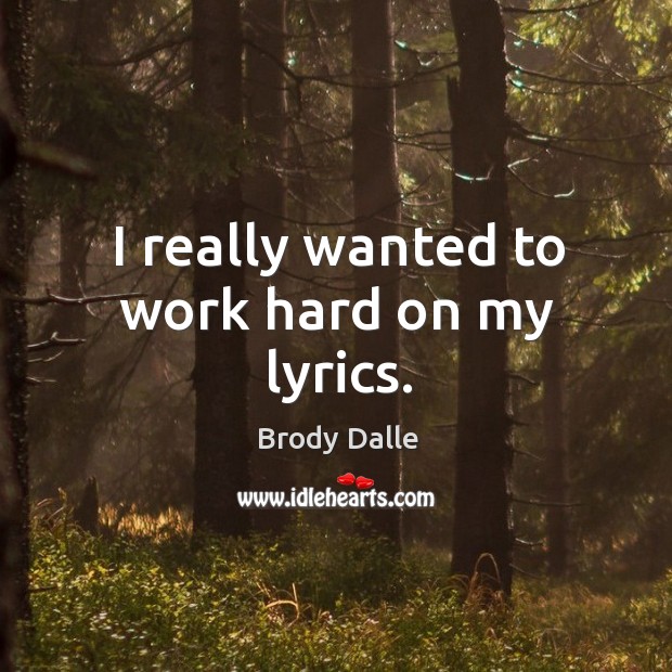 I really wanted to work hard on my lyrics. Brody Dalle Picture Quote