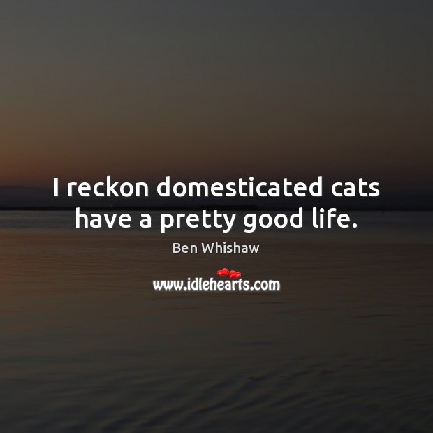 I reckon domesticated cats have a pretty good life. Ben Whishaw Picture Quote