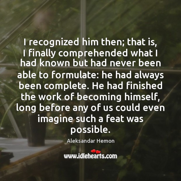 I recognized him then; that is, I finally comprehended what I had Aleksandar Hemon Picture Quote