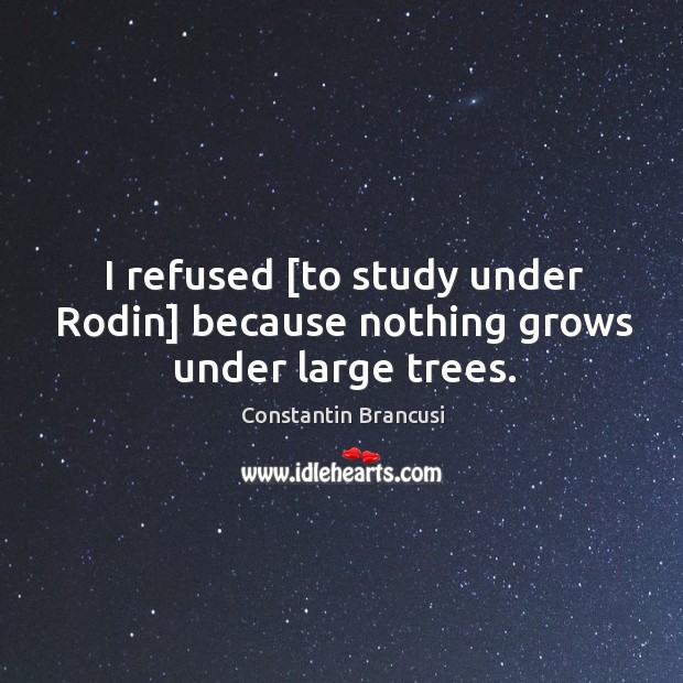 I refused [to study under Rodin] because nothing grows under large trees. Constantin Brancusi Picture Quote