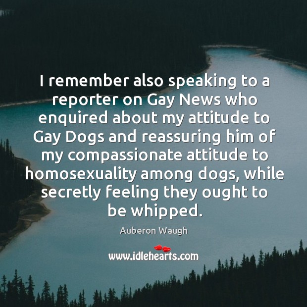 I remember also speaking to a reporter on Gay News who enquired Auberon Waugh Picture Quote