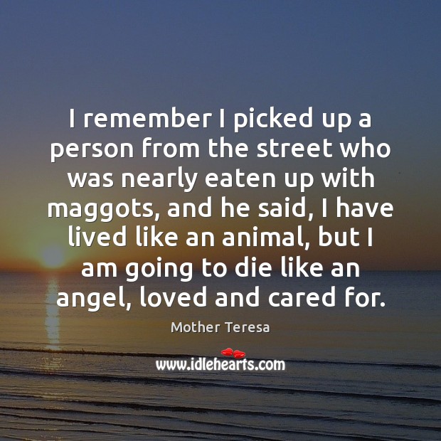 I remember I picked up a person from the street who was Mother Teresa Picture Quote