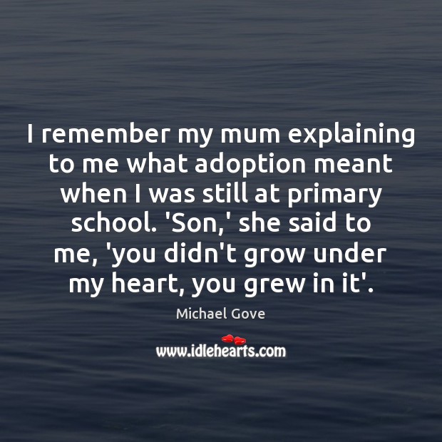 I remember my mum explaining to me what adoption meant when I Michael Gove Picture Quote