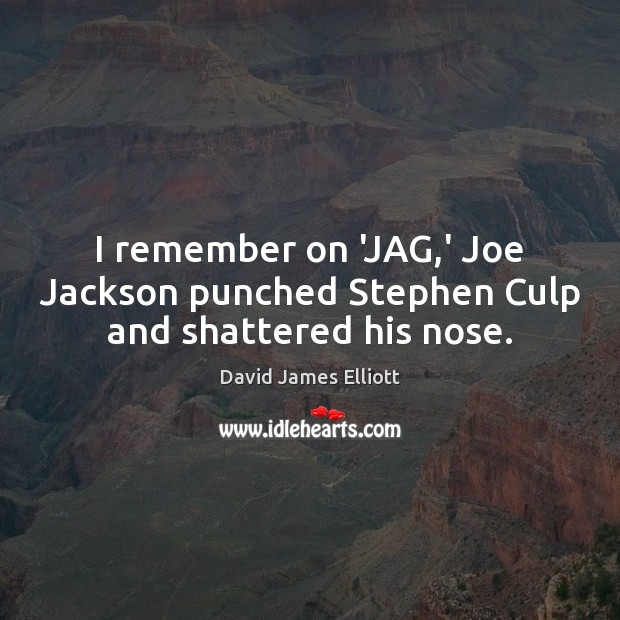 I remember on ‘JAG,’ Joe Jackson punched Stephen Culp and shattered his nose. David James Elliott Picture Quote