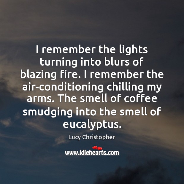I remember the lights turning into blurs of blazing fire. I remember Lucy Christopher Picture Quote