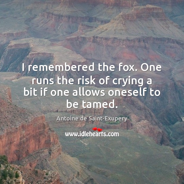 I remembered the fox. One runs the risk of crying a bit if one allows oneself to be tamed. Image