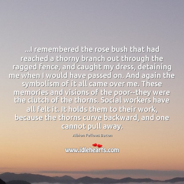 …I remembered the rose bush that had reached a thorny branch out Image