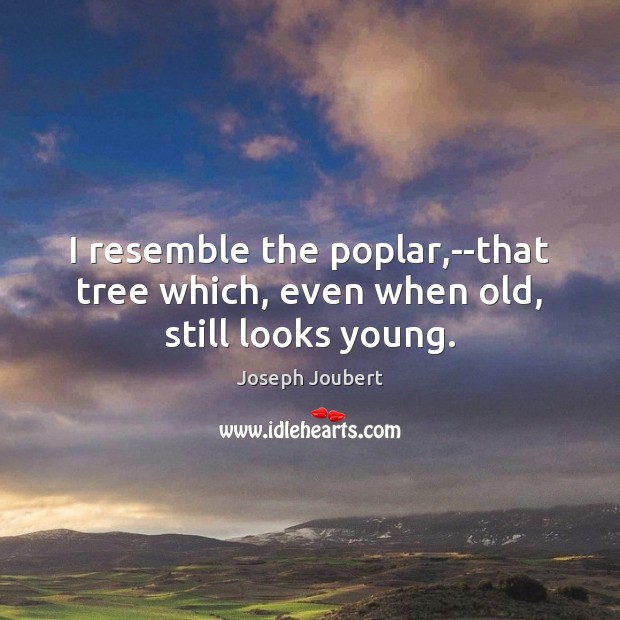 I resemble the poplar,–that tree which, even when old, still looks young. Image