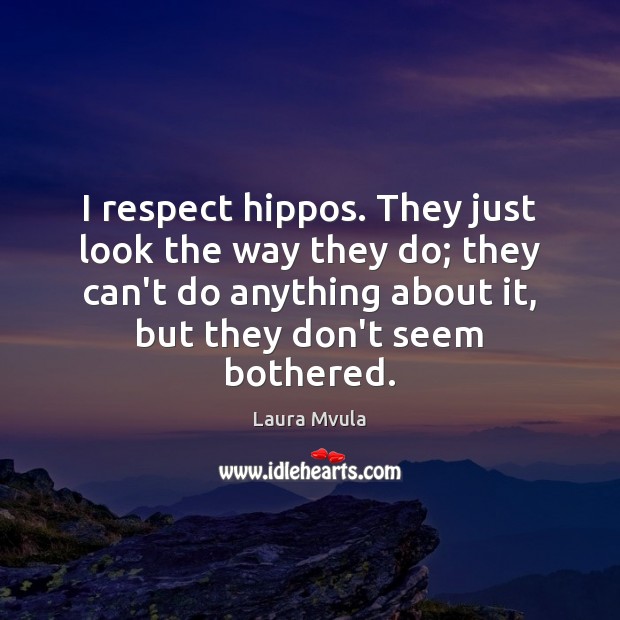 I respect hippos. They just look the way they do; they can’t Image