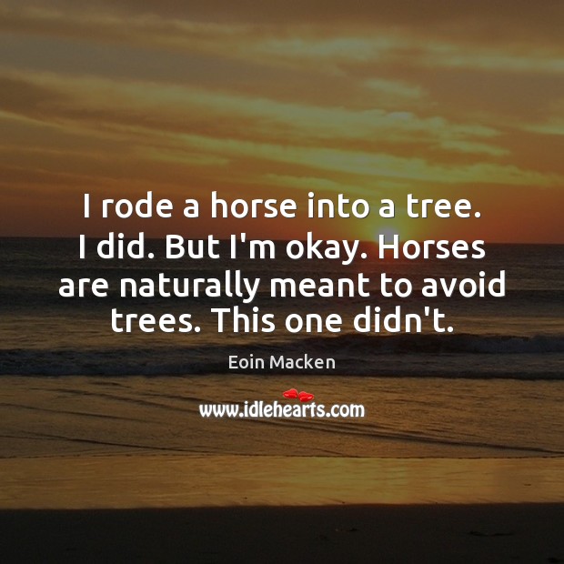I rode a horse into a tree. I did. But I’m okay. Eoin Macken Picture Quote