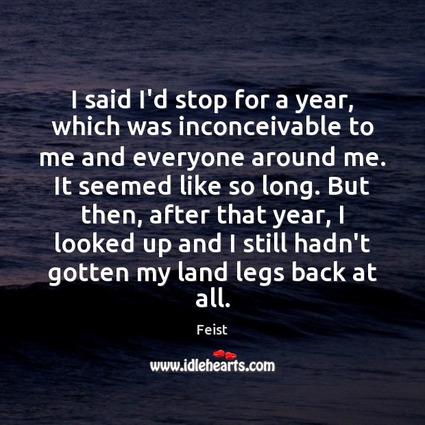 I said I’d stop for a year, which was inconceivable to me Feist Picture Quote