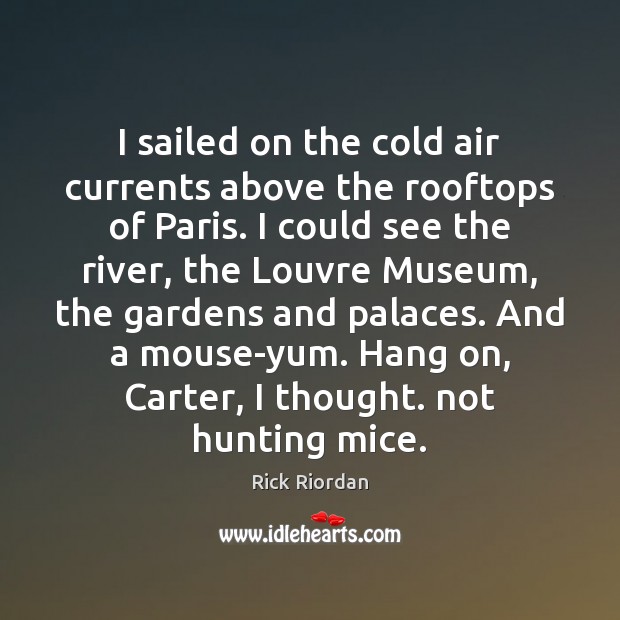 I sailed on the cold air currents above the rooftops of Paris. Image