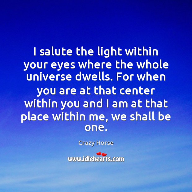 I salute the light within your eyes where the whole universe dwells. Crazy Horse Picture Quote