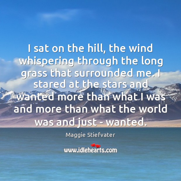 I sat on the hill, the wind whispering through the long grass Maggie Stiefvater Picture Quote