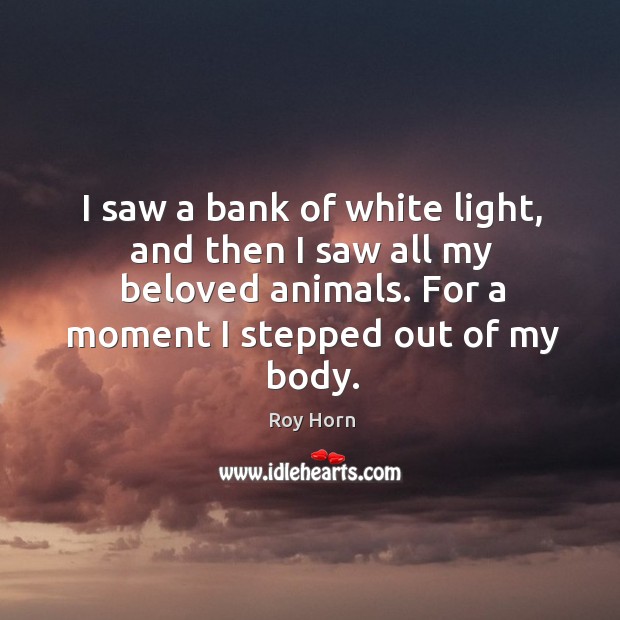 I saw a bank of white light, and then I saw all my beloved animals. For a moment I stepped out of my body. Roy Horn Picture Quote