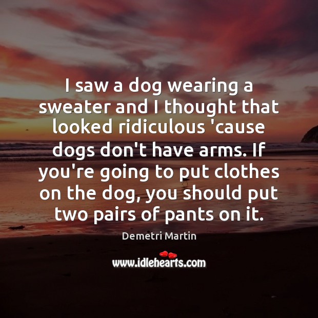 I saw a dog wearing a sweater and I thought that looked Demetri Martin Picture Quote