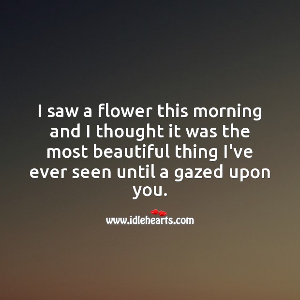 I saw a flower this morning and I thought it was the most beautiful thing, until I saw you Flirt Messages Image