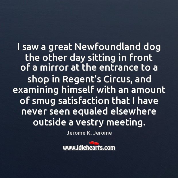 I saw a great Newfoundland dog the other day sitting in front Image