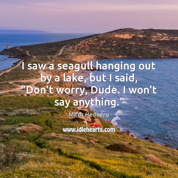 I saw a seagull hanging out by a lake, but I said, “ Mitch Hedberg Picture Quote