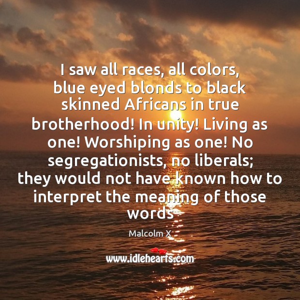 I saw all races, all colors, blue eyed blonds to black skinned Malcolm X Picture Quote