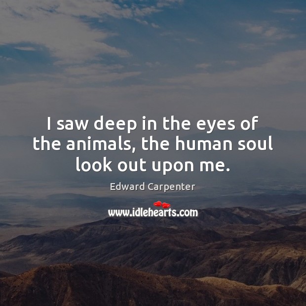 I saw deep in the eyes of the animals, the human soul look out upon me. Edward Carpenter Picture Quote