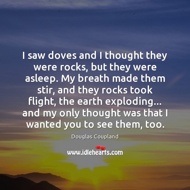 I saw doves and I thought they were rocks, but they were Image