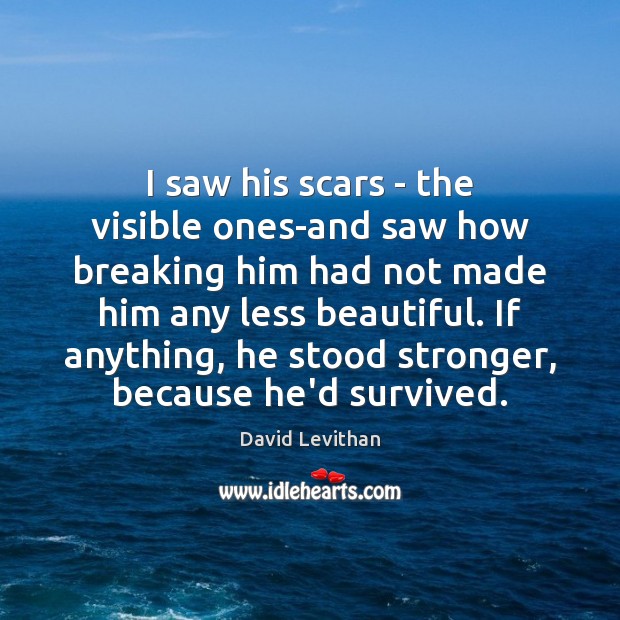 I saw his scars – the visible ones-and saw how breaking him David Levithan Picture Quote