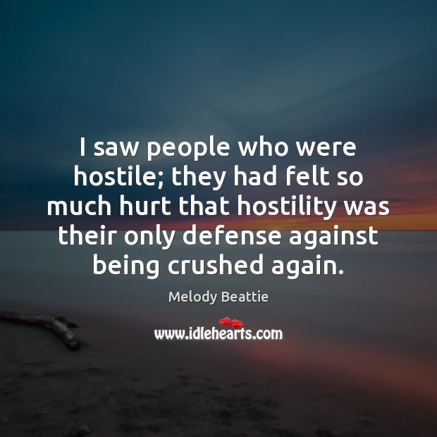 I saw people who were hostile; they had felt so much hurt Melody Beattie Picture Quote