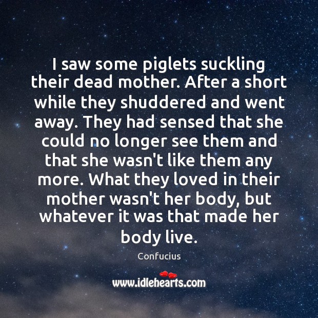 I saw some piglets suckling their dead mother. After a short while Confucius Picture Quote