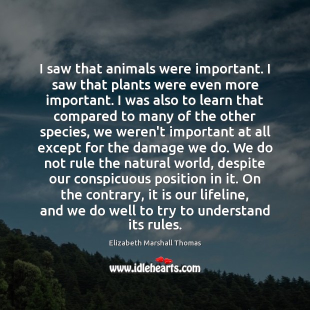 I saw that animals were important. I saw that plants were even Elizabeth Marshall Thomas Picture Quote