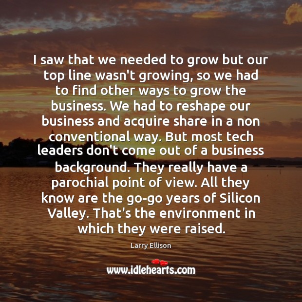 I saw that we needed to grow but our top line wasn’t Larry Ellison Picture Quote