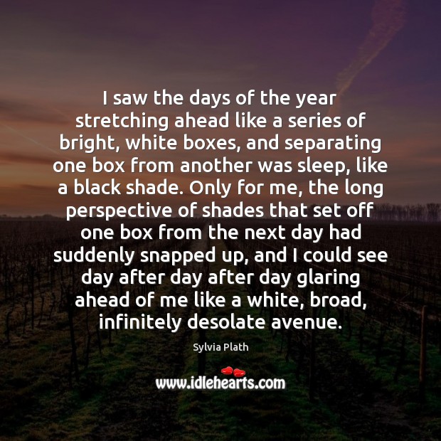 I saw the days of the year stretching ahead like a series Image