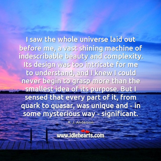 I saw the whole universe laid out before me, a vast shining R. J. Anderson Picture Quote