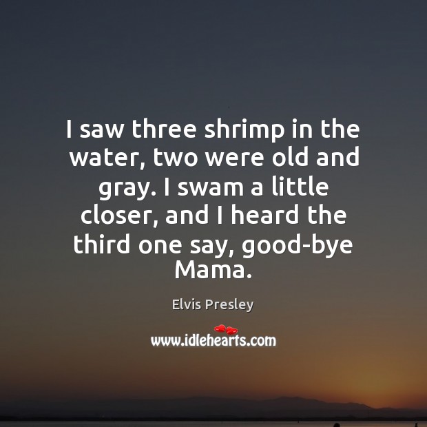 I saw three shrimp in the water, two were old and gray. Image