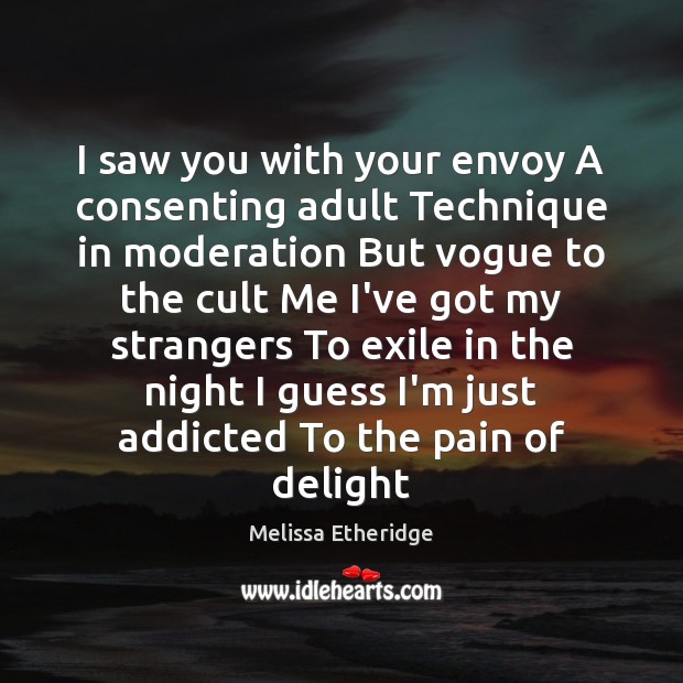I saw you with your envoy A consenting adult Technique in moderation Melissa Etheridge Picture Quote
