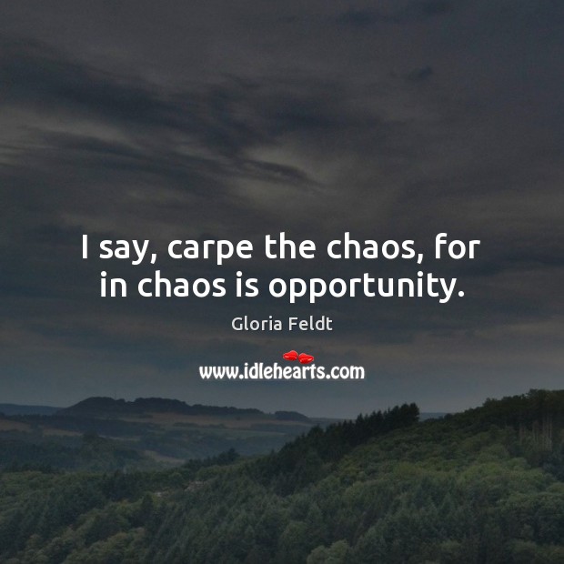 I say, carpe the chaos, for in chaos is opportunity. Gloria Feldt Picture Quote