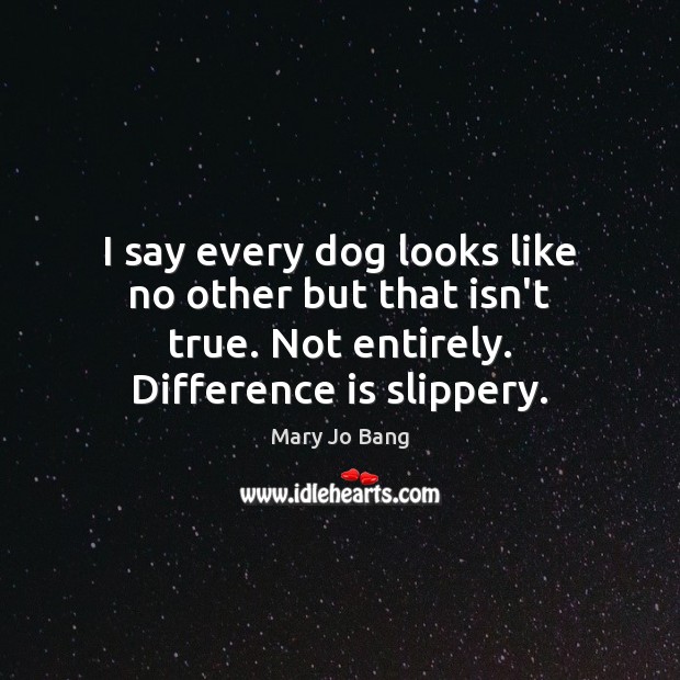 I say every dog looks like no other but that isn’t true. Mary Jo Bang Picture Quote