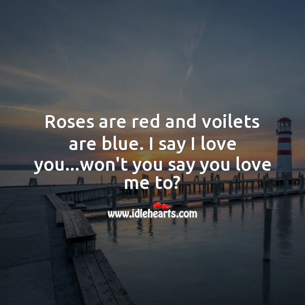 I say I love you Love Messages Image