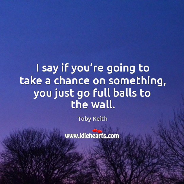 I say if you’re going to take a chance on something, you just go full balls to the wall. Toby Keith Picture Quote