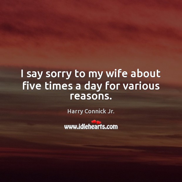 I say sorry to my wife about five times a day for various reasons. Harry Connick Jr. Picture Quote