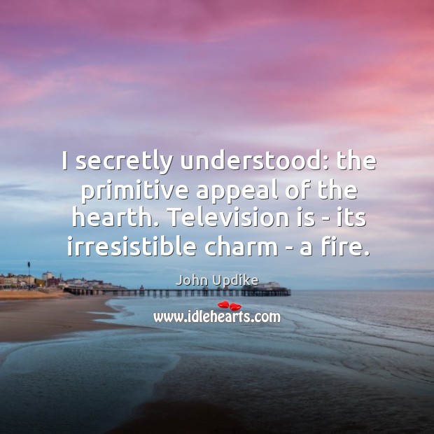 I secretly understood: the primitive appeal of the hearth. Television is – Image