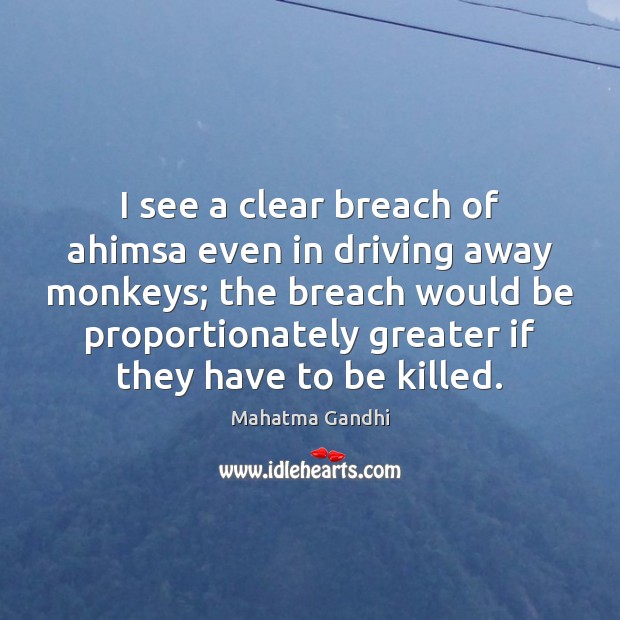 I see a clear breach of ahimsa even in driving away monkeys; Image