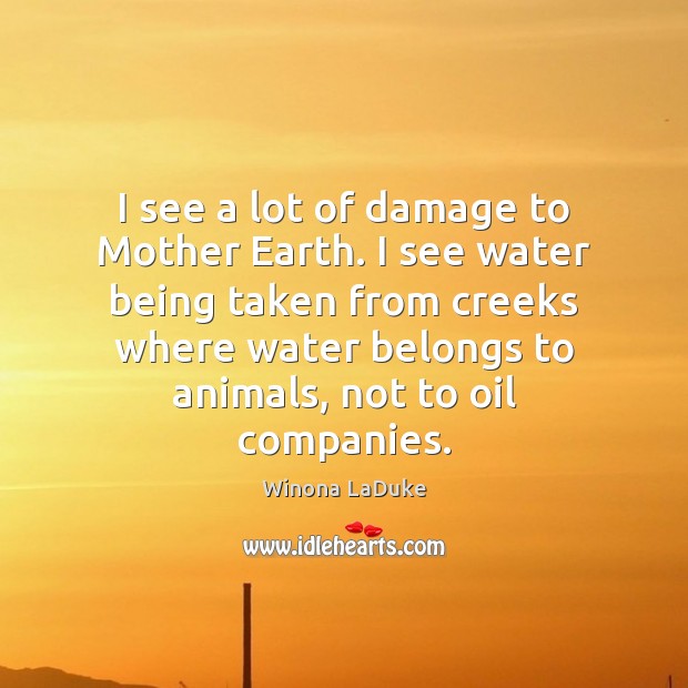 I see a lot of damage to Mother Earth. I see water Winona LaDuke Picture Quote