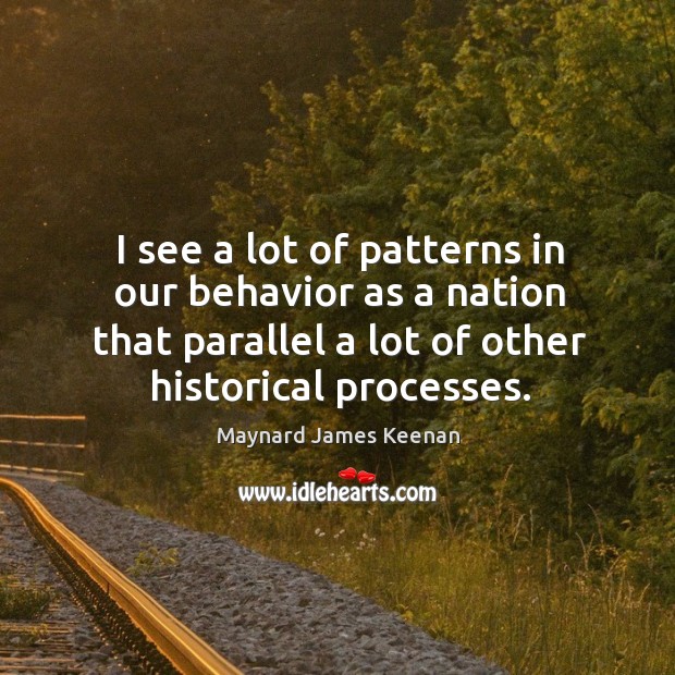 I see a lot of patterns in our behavior as a nation that parallel a lot of other historical processes. Maynard James Keenan Picture Quote