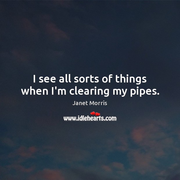 I see all sorts of things when I’m clearing my pipes. Janet Morris Picture Quote